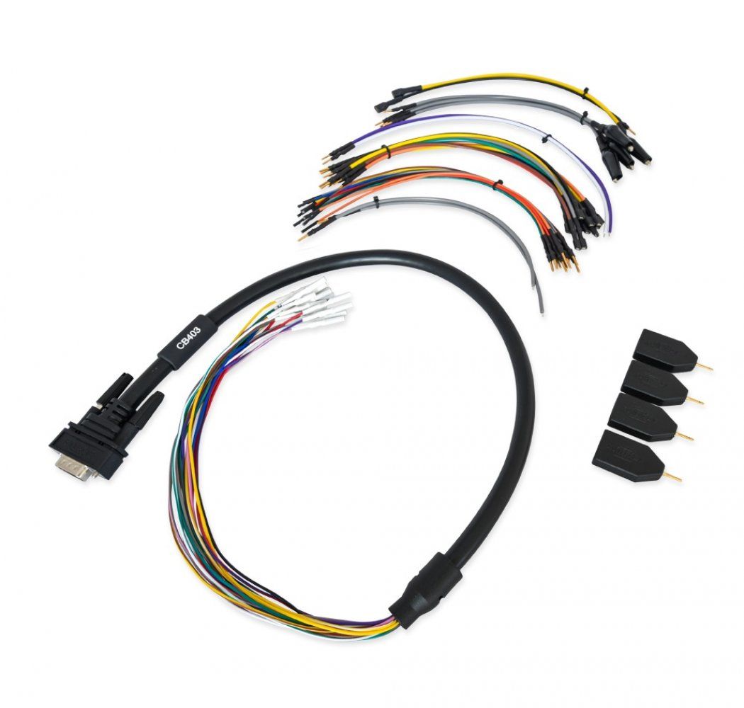 442347f56a0e6affc15a9998cd52.jpg