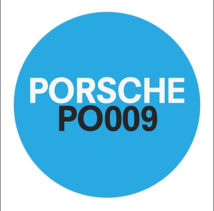 PO009 Porsche Module Adaptation Function