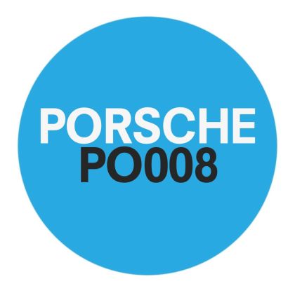 PO008 Porsche Advanced Diagnostic Function