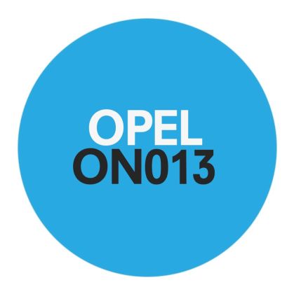 ON013 Opel PIN and Key Manager Function