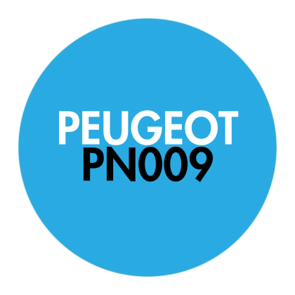 PN009 ECU - Engine Control Unit Advanced Diagnostic  Function