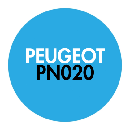 PN020 - PIN Manager (BSI and Engine Control Unit)